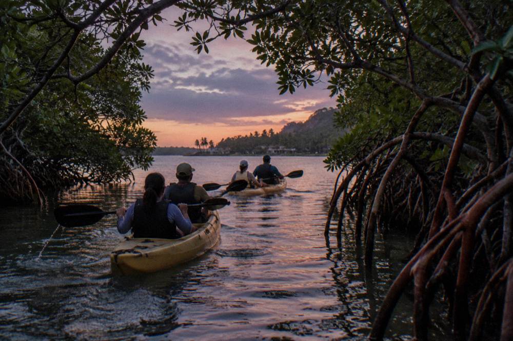 Tandem kayaks gliding through a narrow mangrove channel at dusk