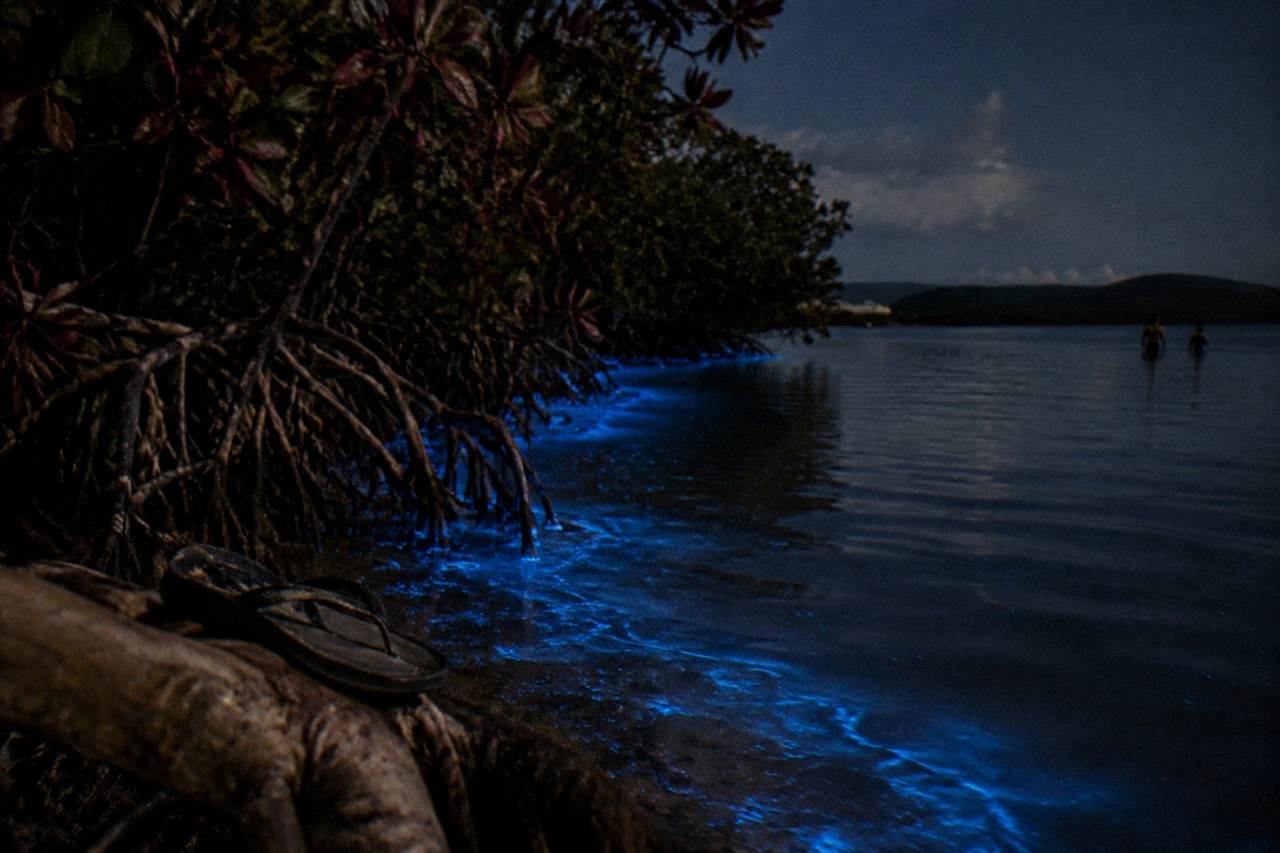 A dark lagoon at night with the faint blue glow of bioluminescent water along the shoreline