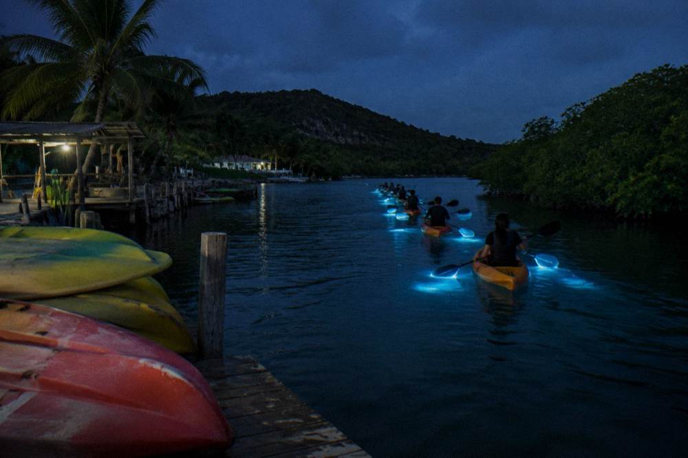 A group of kayakers paddling in single file across dark water at night