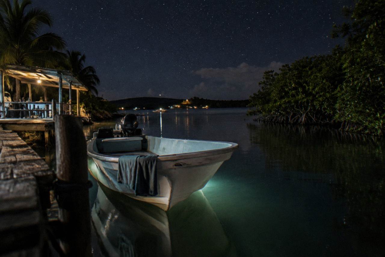A calm lagoon at night with dark water reflecting a starry sky above mangrove trees
