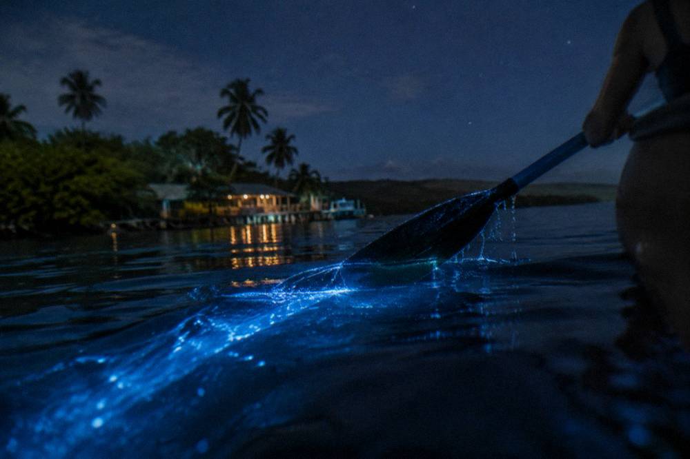Close view of dark lagoon water with faint blue light trailing behind a paddle stroke
