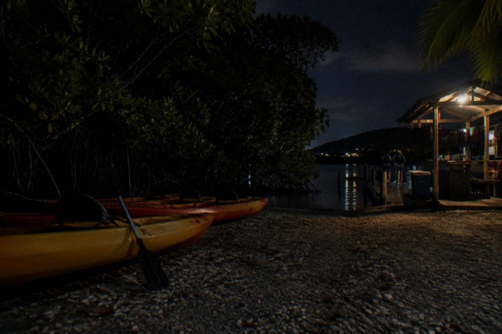 Tandem kayaks lined up on a dark shore beside a mangrove forest at night