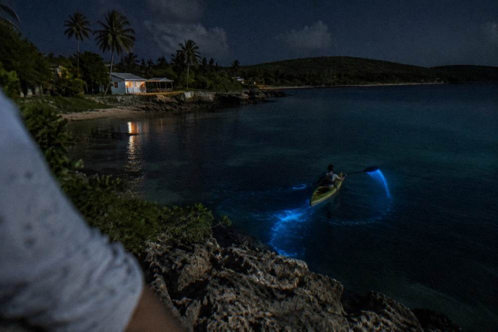 A glowing trail of blue light in dark water behind a paddle
