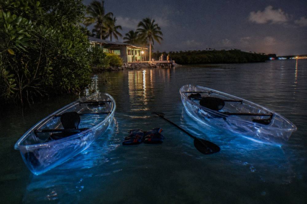 Clear kayaks floating on dark calm water in a small cove