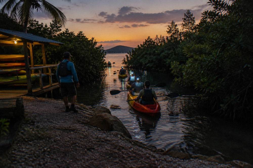 A line of kayakers with headlamps entering a narrow channel after sunset