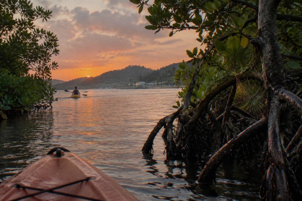 A kayak gliding through a narrow mangrove channel toward a dark lagoon at dusk