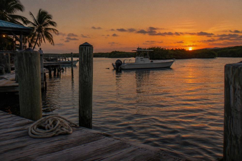 A small boat at anchor on calm dark water with a sunset fading behind mangroves