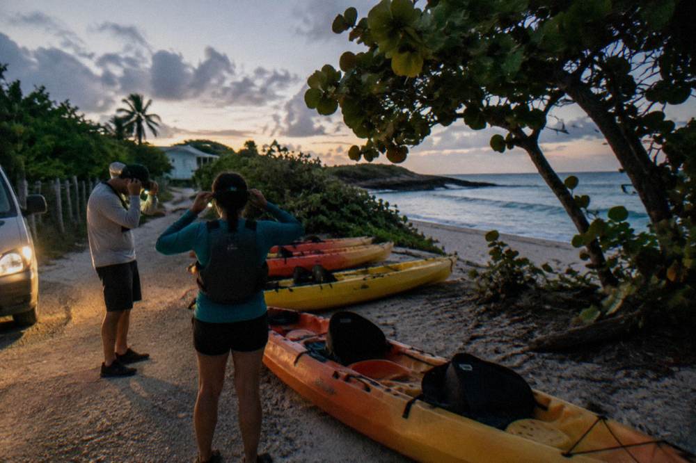 Tandem kayaks lined up on a dark shoreline with guides preparing headlamps before a night tour