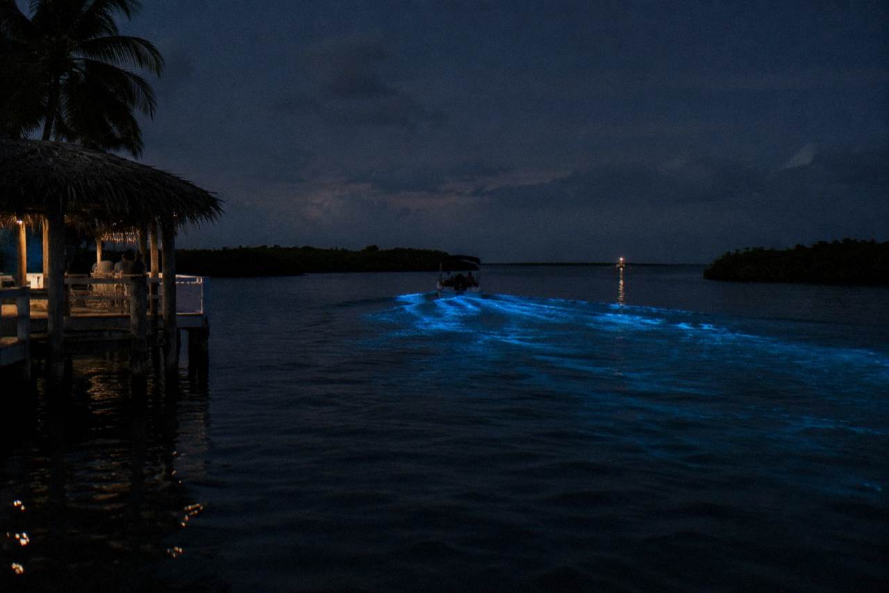 A dark lagoon at night with faint blue light trailing across the water surface