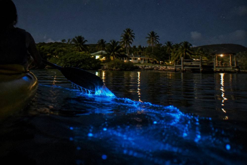 Glowing blue trail of light trailing behind a paddle stroke on black night water