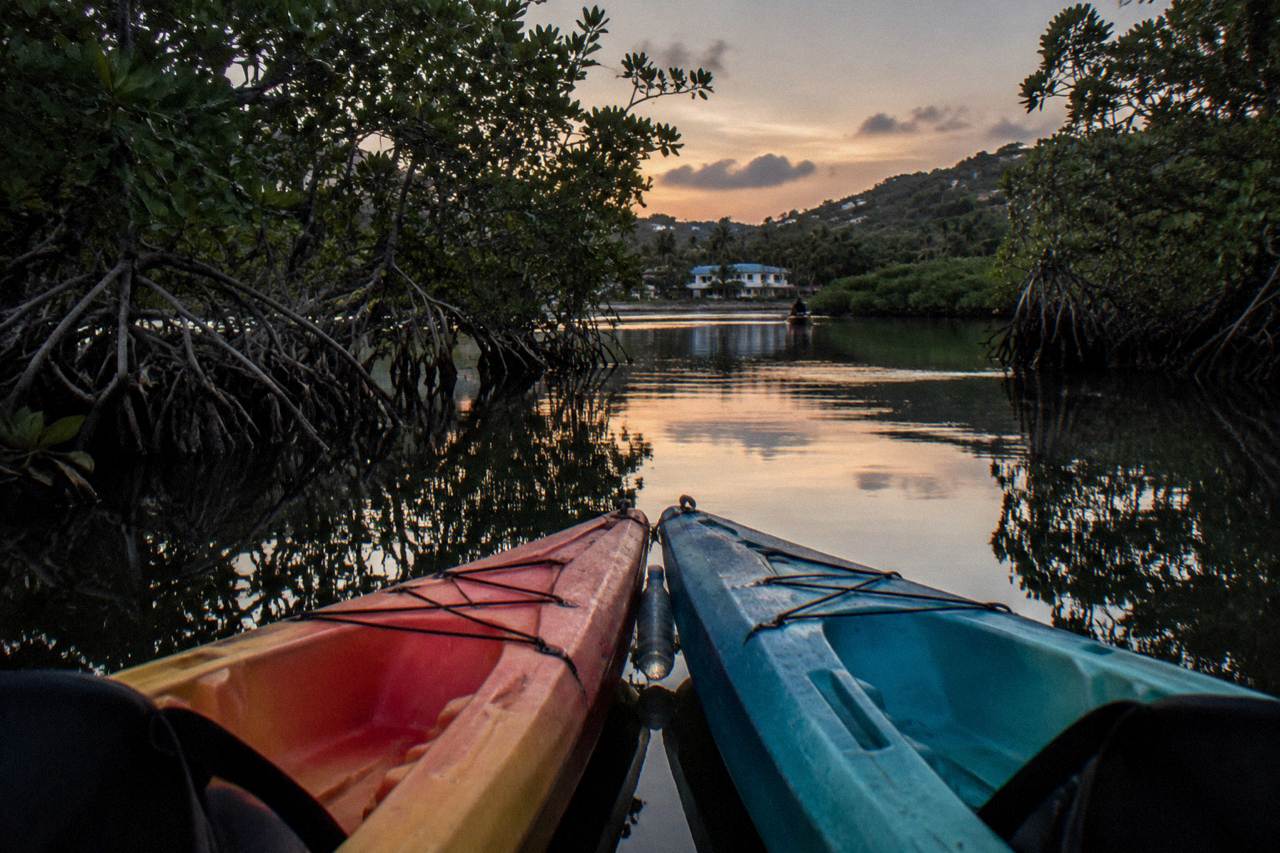 Tandem kayaks resting on dark water in a mangrove channel at dusk