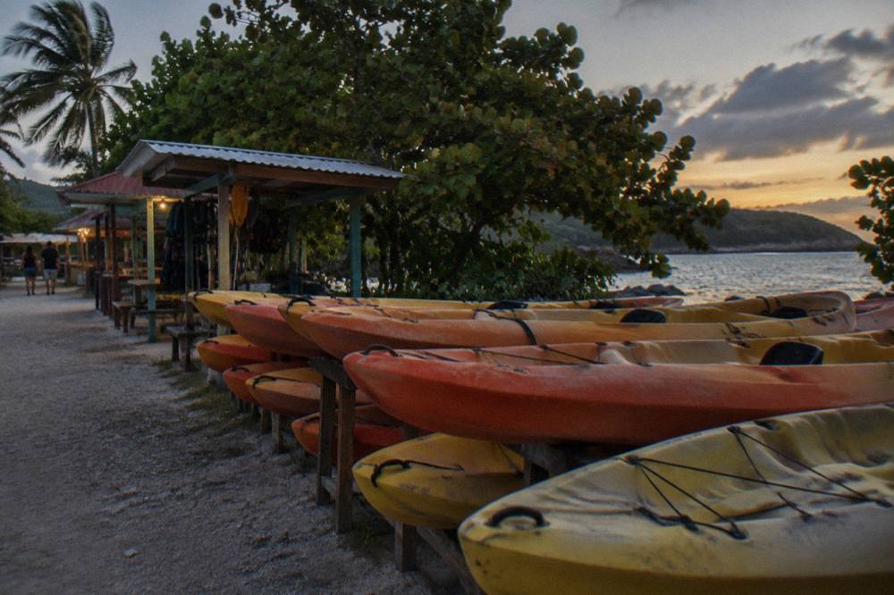 Row of kayaks lined up on a shoreline next to small kiosks at dusk