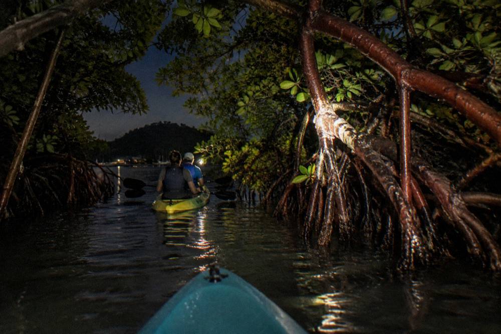 Tandem kayaks passing through a narrow channel between dense mangrove trees at night