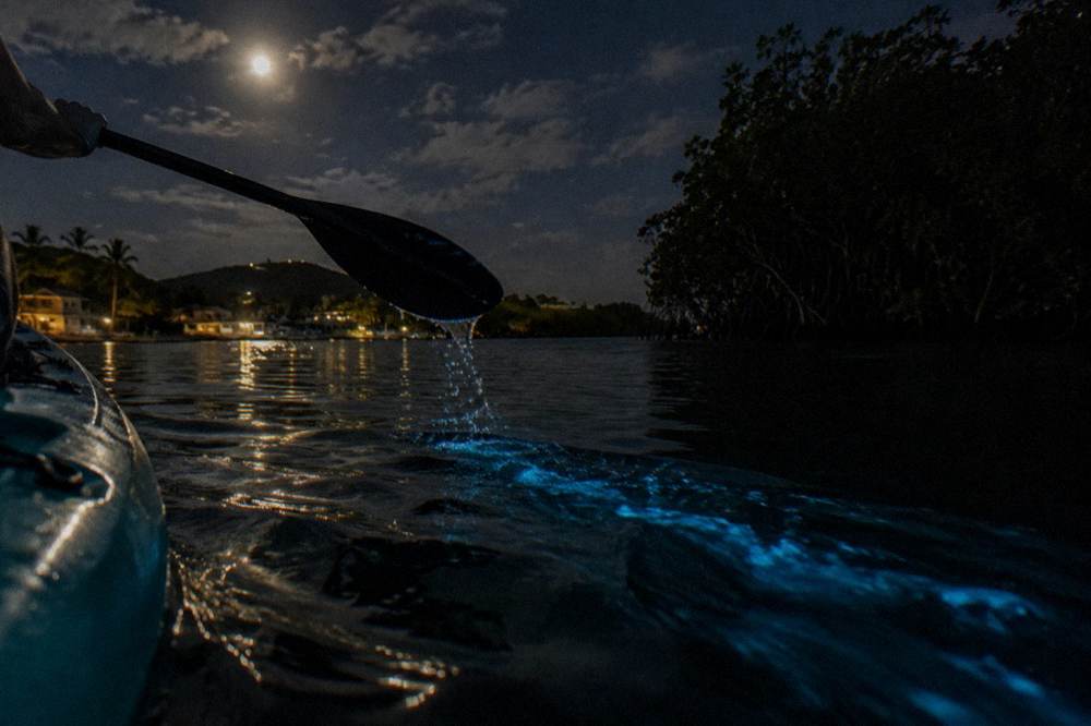 Glowing blue trail of light in dark water behind a paddle