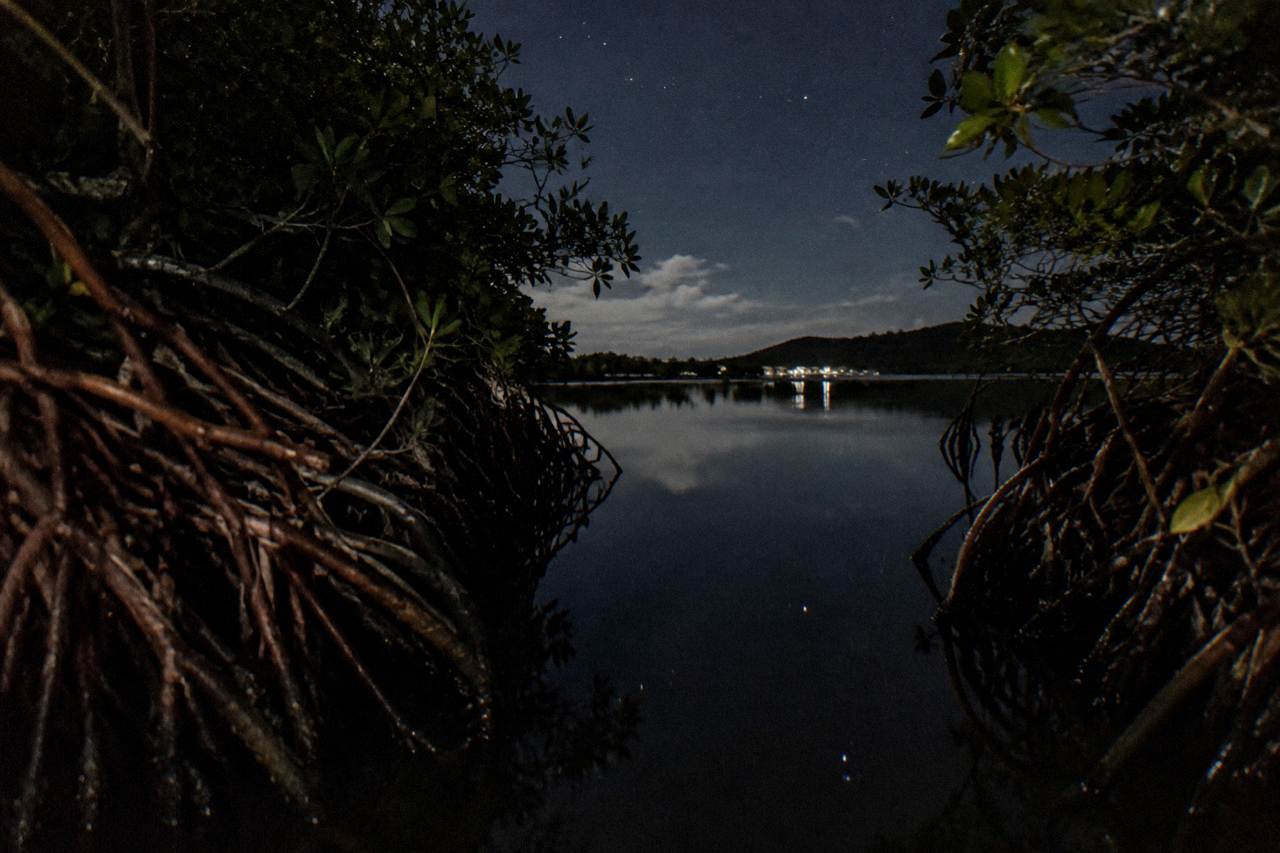 A narrow mangrove channel opening onto a dark lagoon at night with still black water