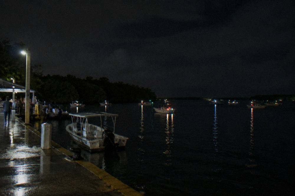 Small boat lights on the water of a dark bay at night with mangrove shoreline