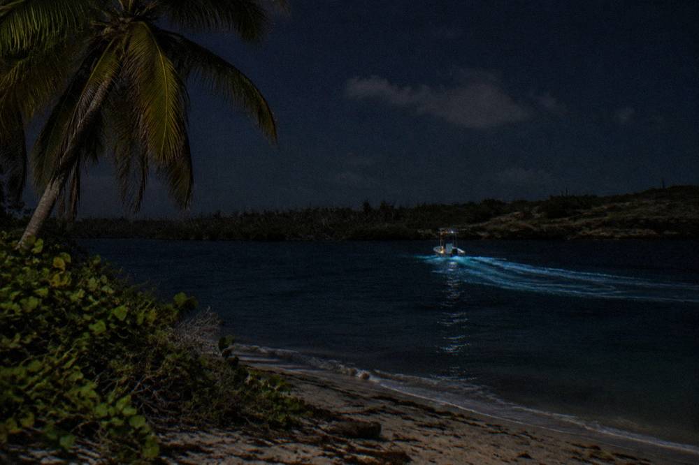 Boat wake glowing pale blue behind a vessel on dark night water