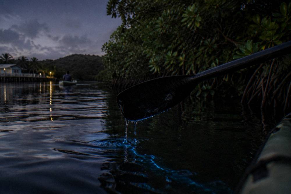 A paddle lifting out of dark water with a faint blue streak of light trailing behind it
