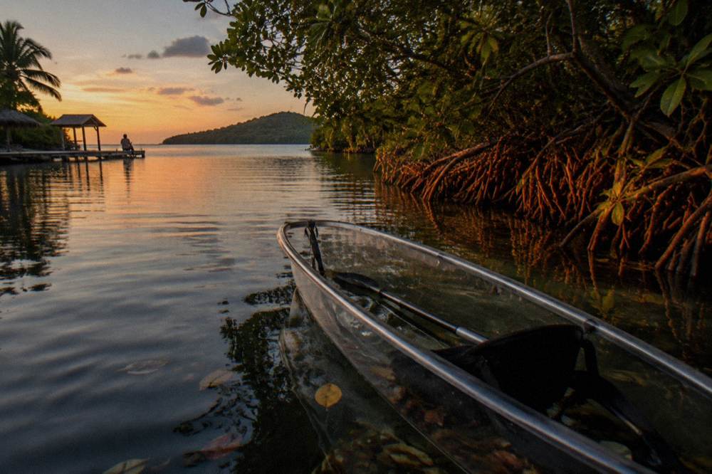 A clear bottom kayak on still dark water beside a mangrove channel at dusk