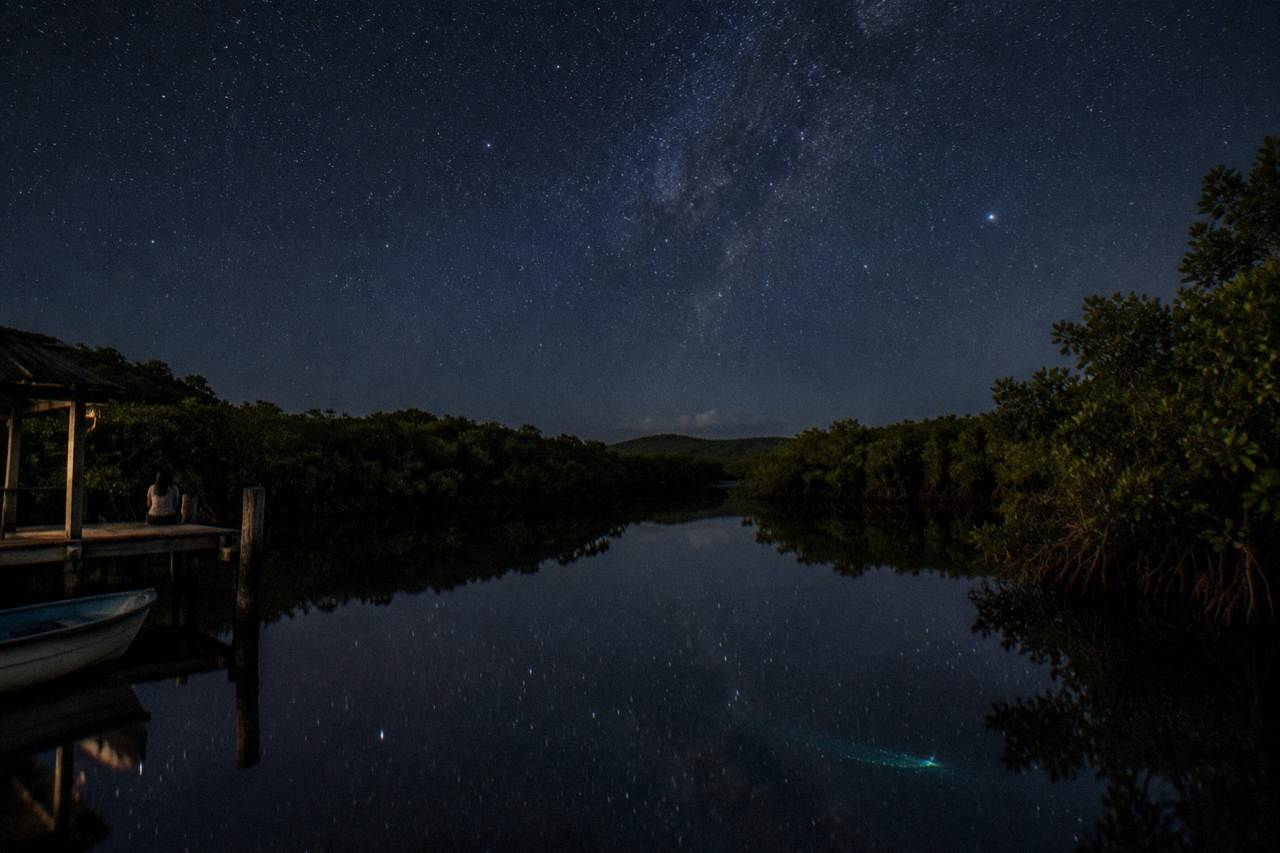 A calm mangrove lagoon at night with dark water reflecting a starry sky