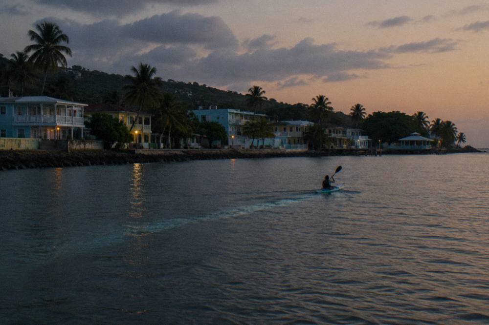 A kayak gliding through dark water in a bioluminescent bay at night