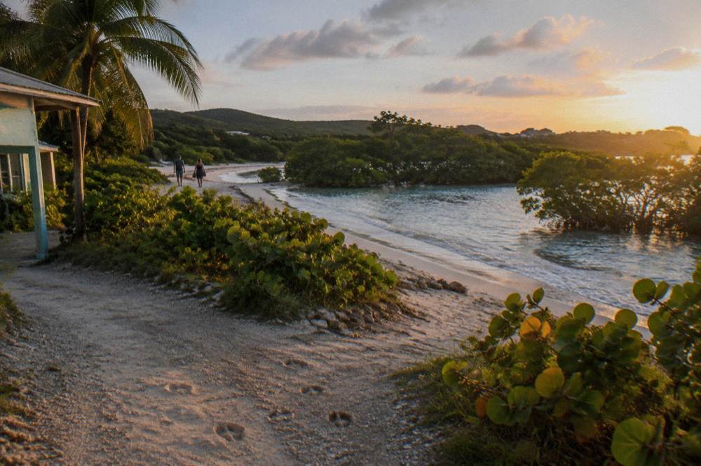 A quiet island shoreline with mangroves and shallow clear water at golden hour
