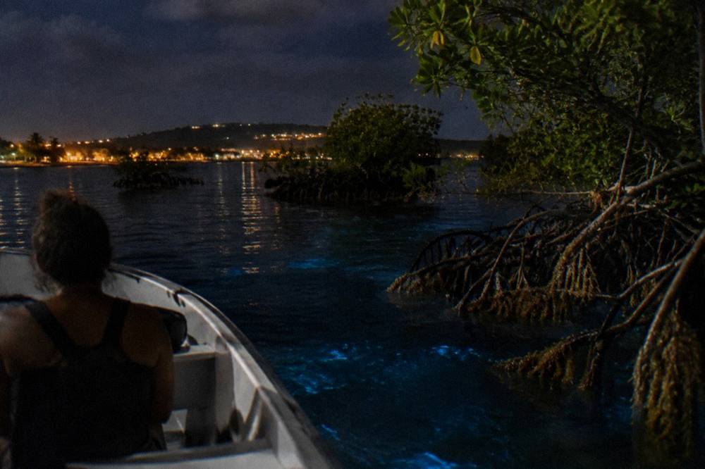 Small open boat on dark water near mangrove islets at night with distant village lights