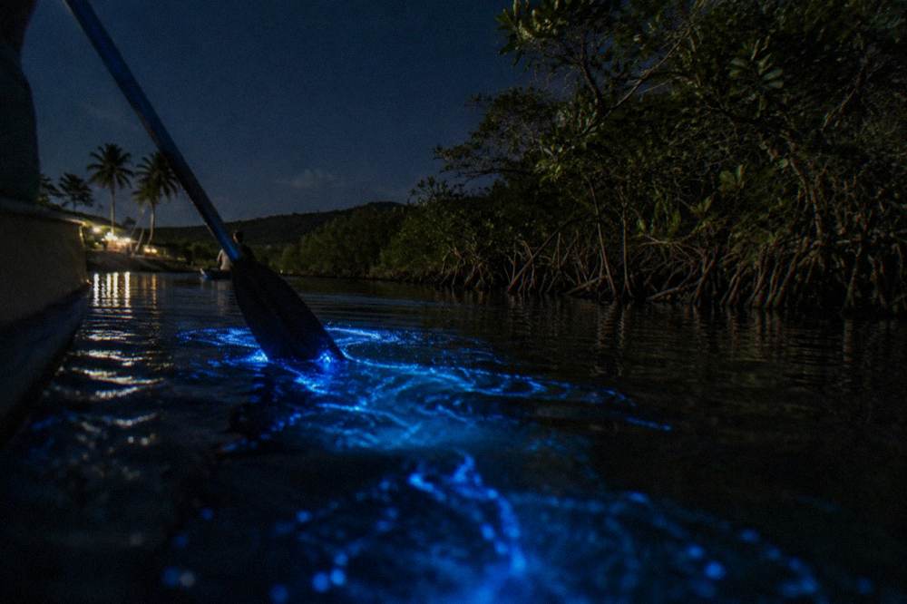 Kayak paddle trail of disturbed blue glowing water on a dark lagoon at night