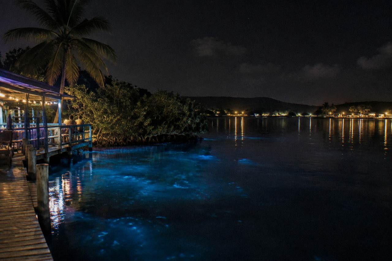 Calm tropical lagoon at night reflecting faint blue light along a mangrove shoreline