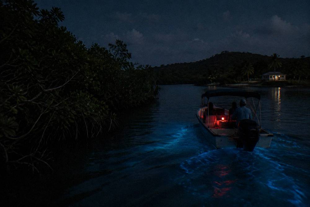 A small boat with dim red light gliding over dark bay water surrounded by mangroves