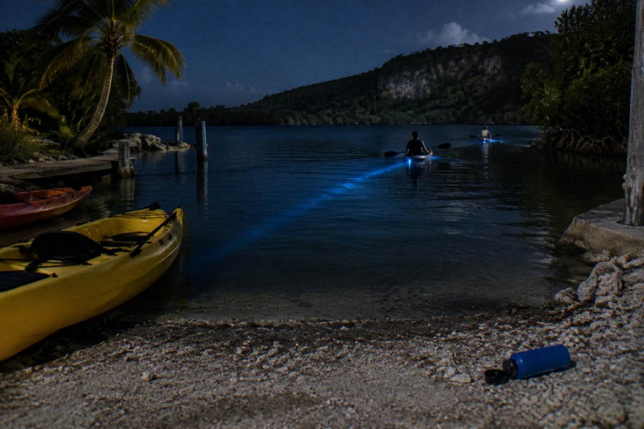 A kayak paddle trail of faint blue light across dark calm water at night