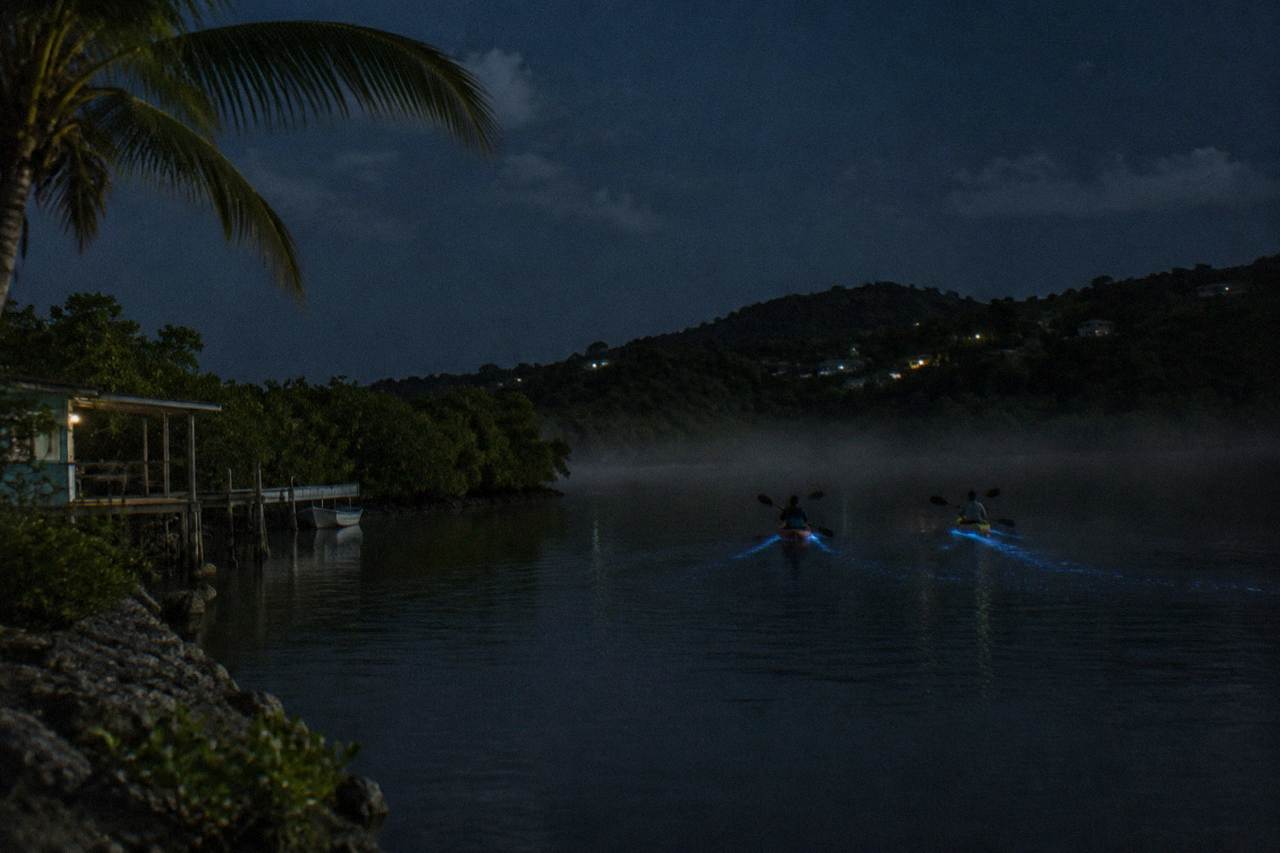 A dark lagoon at night with pale blue light trailing behind kayaks paddling through calm water