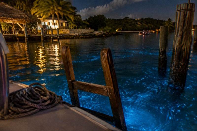 La Parguera bioluminescent bay at night, boat wake shining across black water toward the mangrove cays.