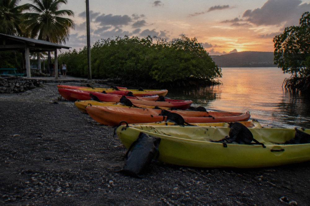 Tandem kayaks lined up on a dark shoreline beside calm water at dusk