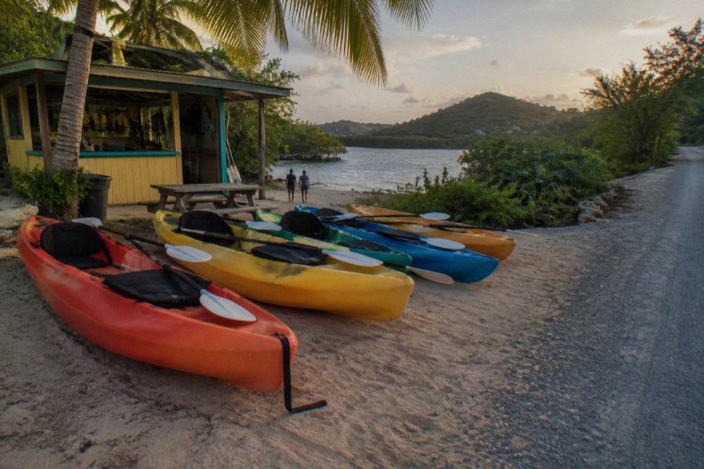 Row of kayaks with paddles resting on a sandy launch area before dark