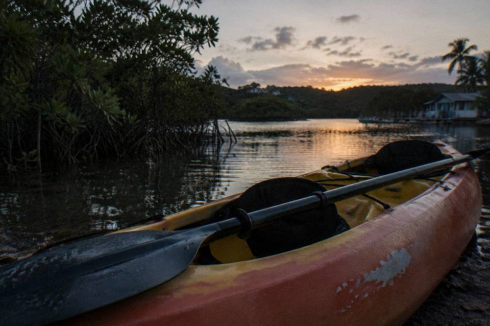 Paddle resting across a kayak cockpit with dark water and mangroves behind