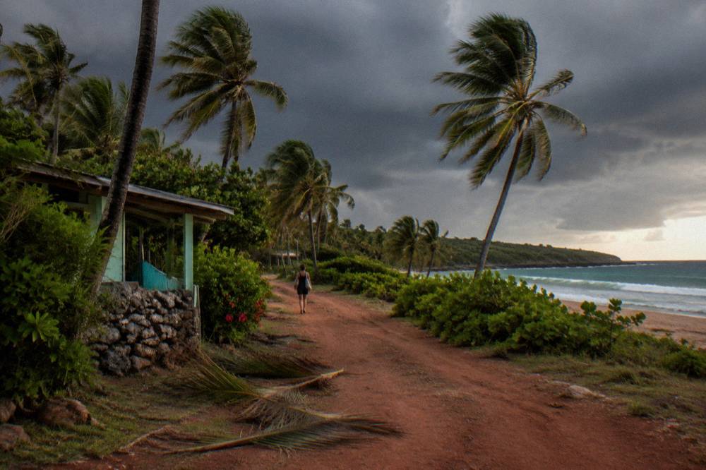 Dark storm clouds gathering over a tropical coastline with palm trees