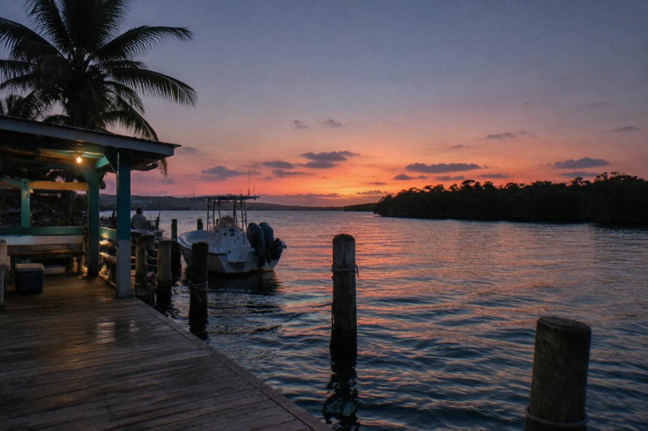 A calm tropical lagoon at dusk with mangrove trees silhouetted along the shoreline