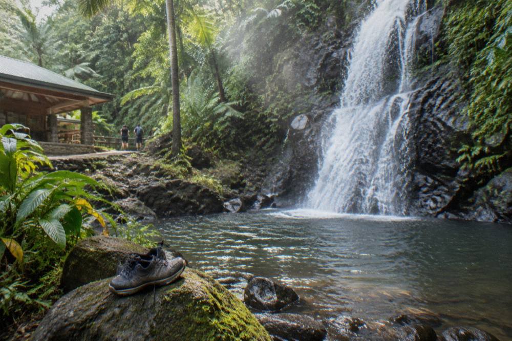 A waterfall dropping over dark rocks surrounded by tall green rainforest foliage