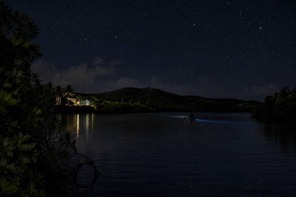 A calm lagoon surrounded by dark mangroves under a starry night sky