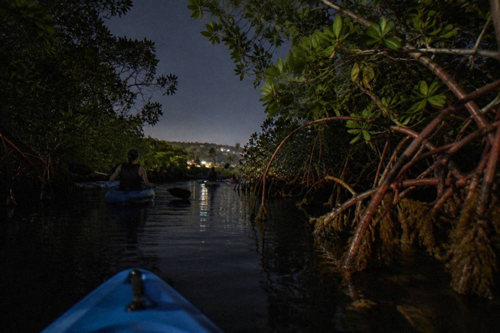A narrow mangrove channel at night with still black water reflecting faint light
