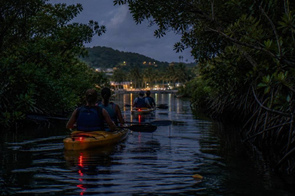 A line of kayaks gliding through a narrow mangrove channel at night