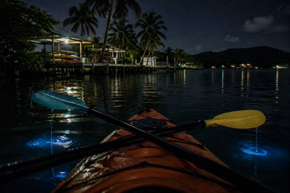Paddles resting across a kayak in darkness with faint blue light in the water below
