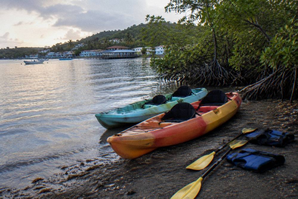 Empty kayaks and paddles resting on a shore at dusk