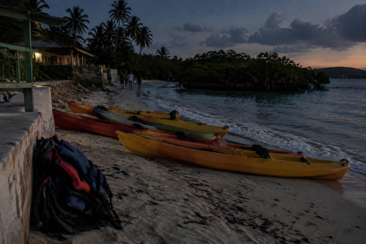 Tandem kayaks lined up on a dark shoreline at night with mangroves in the background