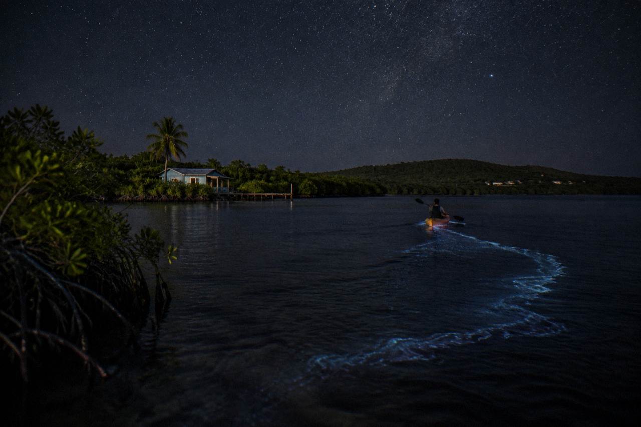 A dark lagoon at night with pale blue light trailing behind kayaks under a starry sky
