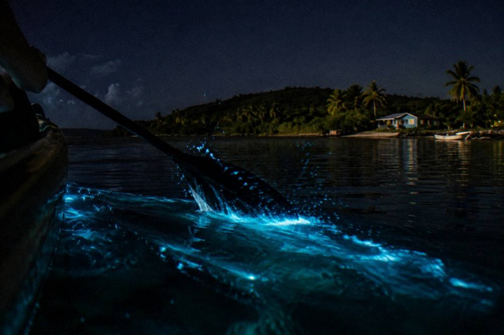 Blue green light trailing from a paddle stroke across dark bay water at night