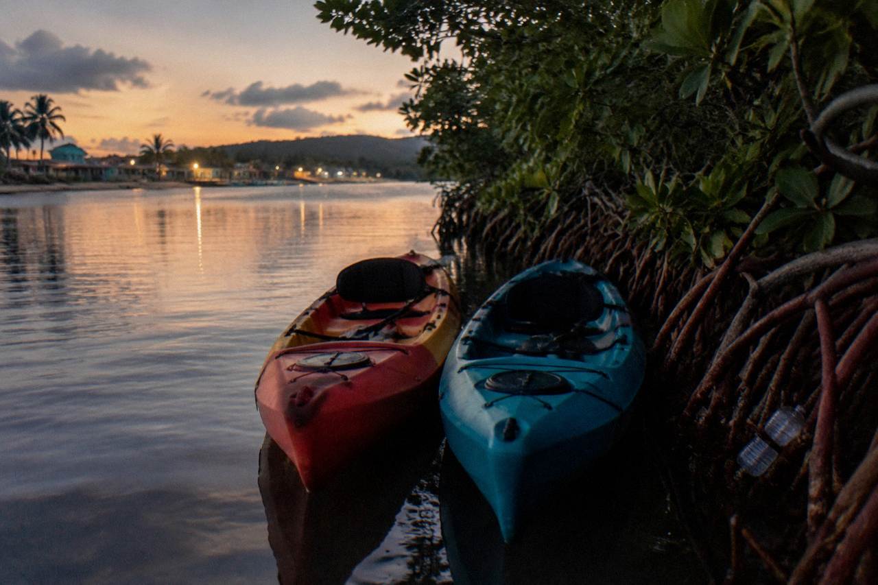 Kayaks resting on dark water beside a mangrove channel at dusk