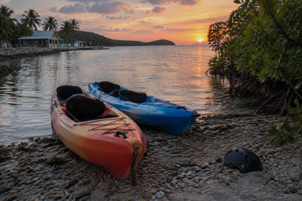 A pair of tandem kayaks resting on a lagoon beach beside mangroves after sunset