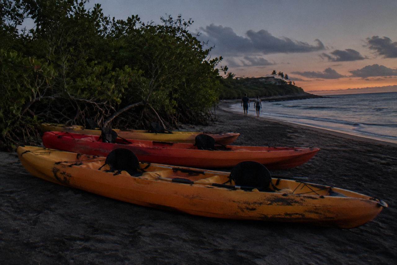 Tandem kayaks lined up on a dark shoreline at night with mangrove trees behind them